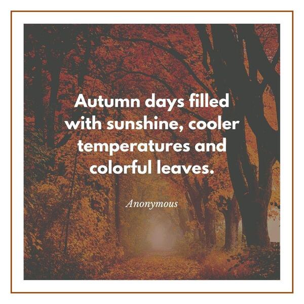Ready for fall quotes