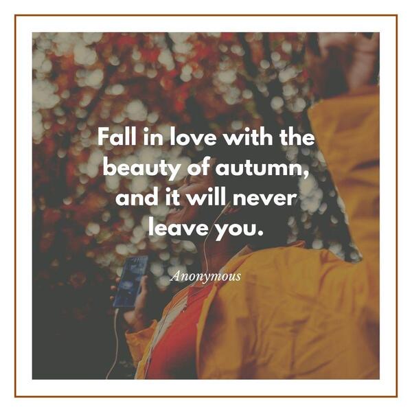 Secret unexpected falling in love quotes