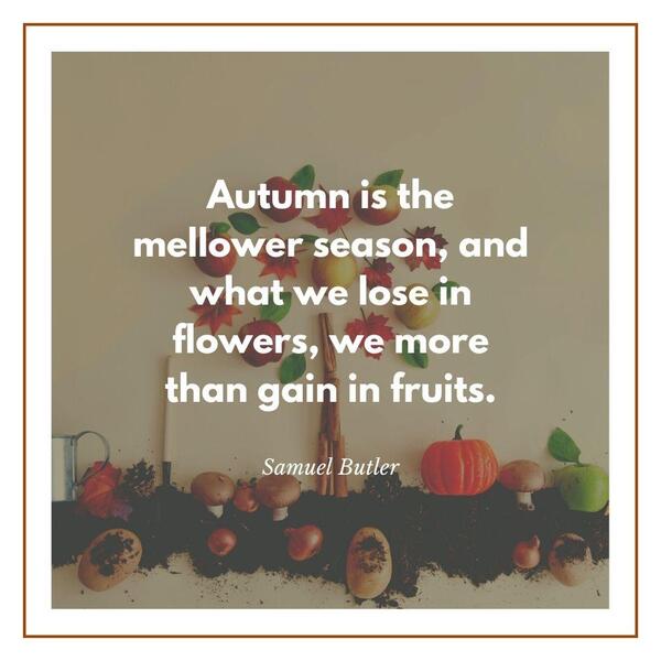Short quotes about autumn