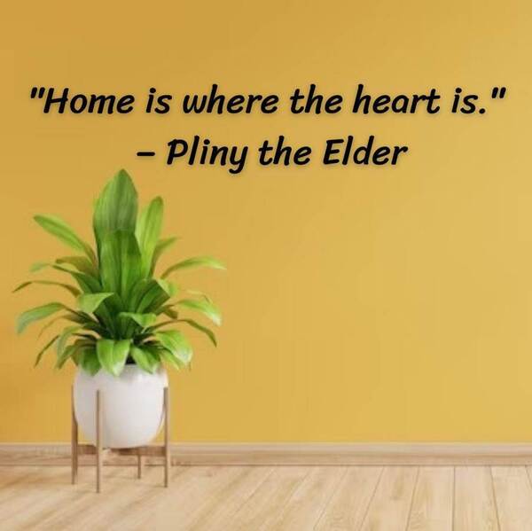 Short quotes about home