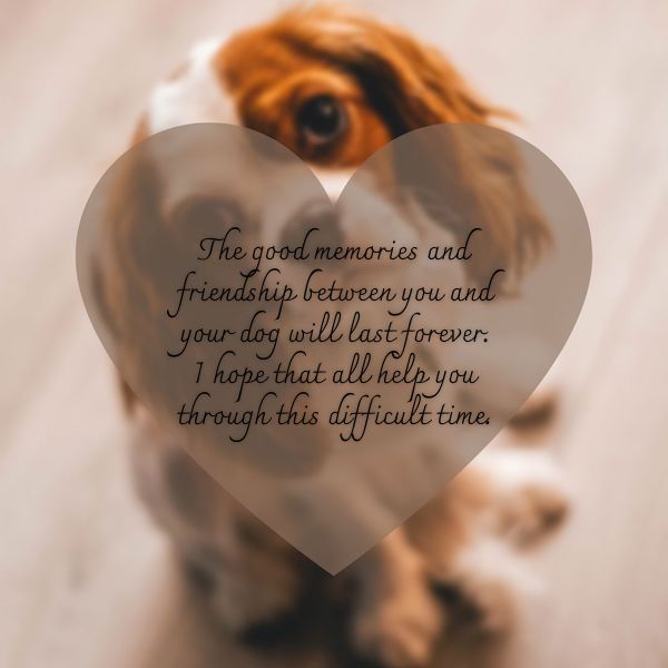 Simple sympathy message for loss of pet