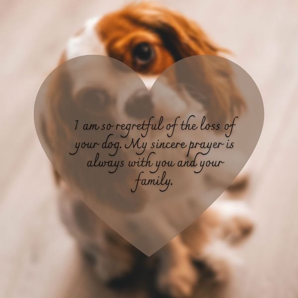 Sympathy card messages for loss of pets