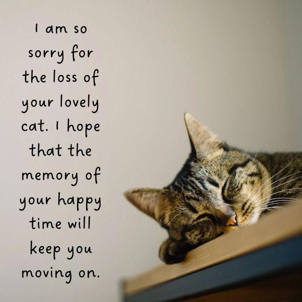 Sympathy message for loss of a pet