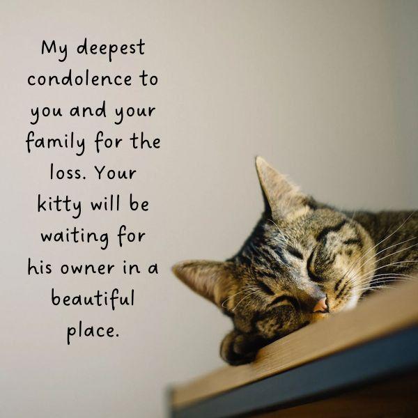 Sympathy message for loss of pet dog