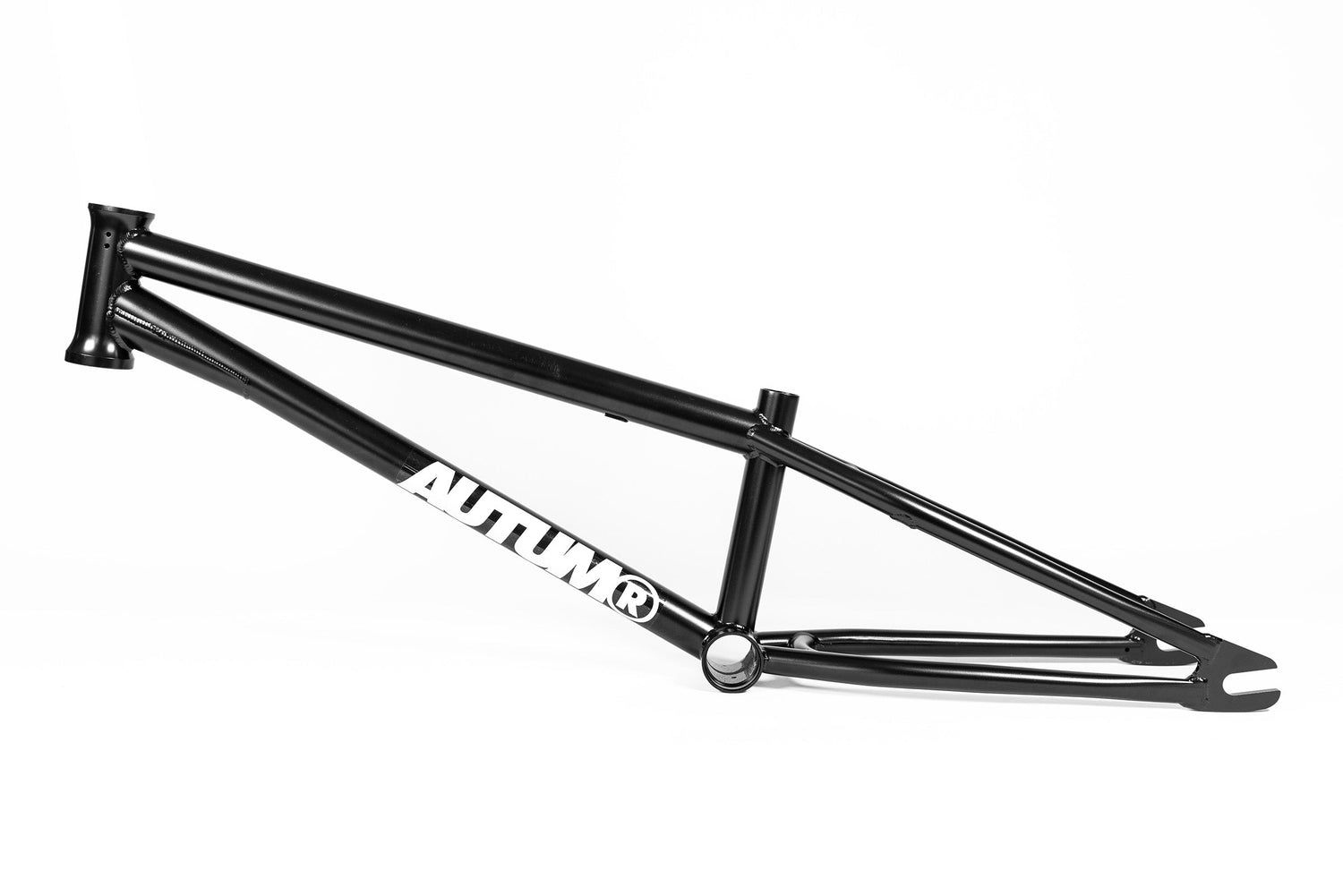 その他 BMX AUTUM LASH FRAME 18.7フレーム