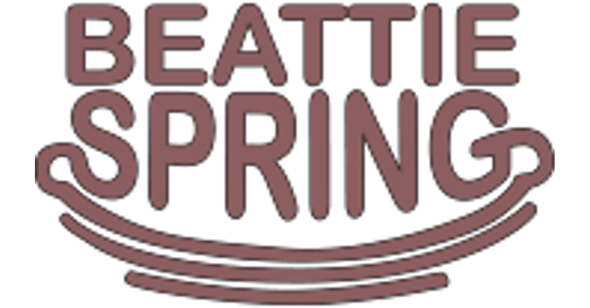 Ford - Heavy Duty Leaf Springs – Beattie Spring