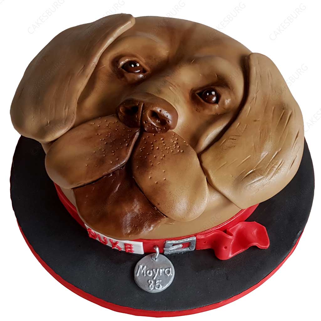 Dog Cake #2