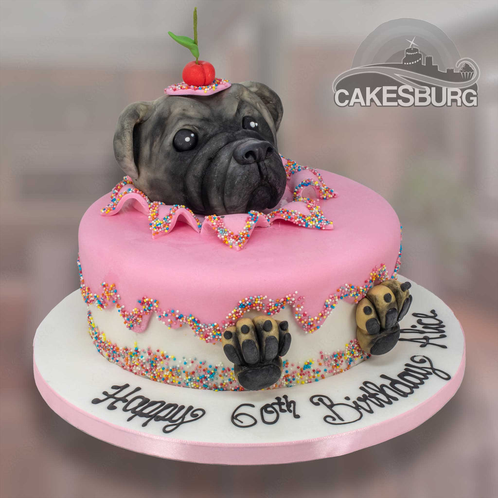 Pug Costume Cake by ginas-cakes on DeviantArt