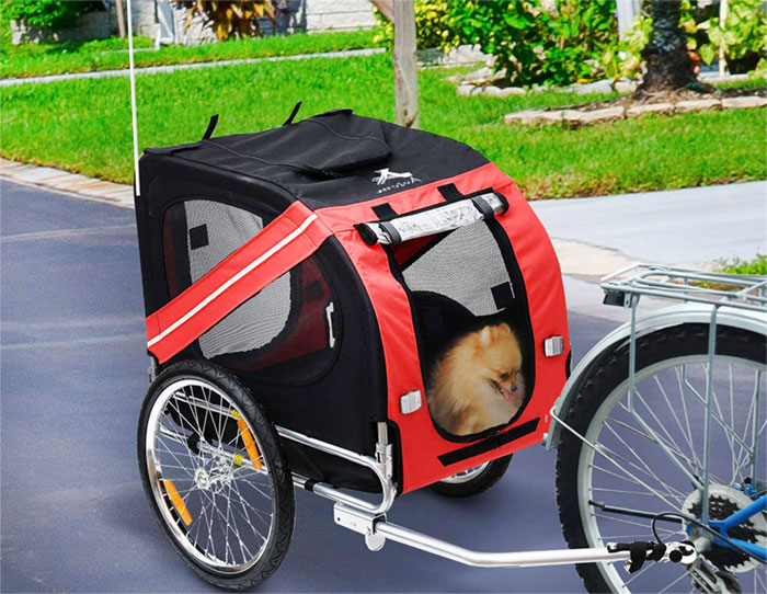 cat bike carrier