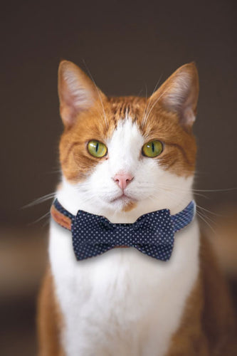 CatCollarWithBowtie_250x250@2x.jpg?v=158