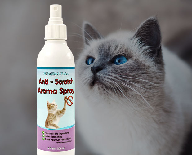 Cat Scratch Deterrent Spray By Mindful Pets Natural Safe Ingradients Catsegory