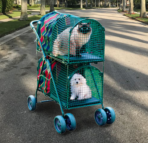 stroller for cats