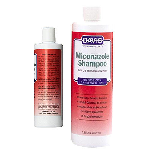 miconazole shampoo for cats