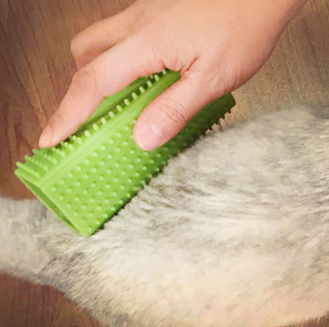 curry comb for cats