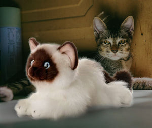 lifelike cat plush