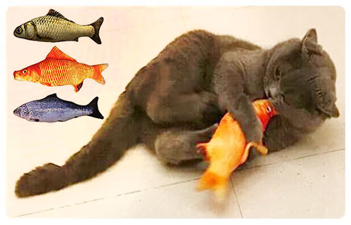 fish toys