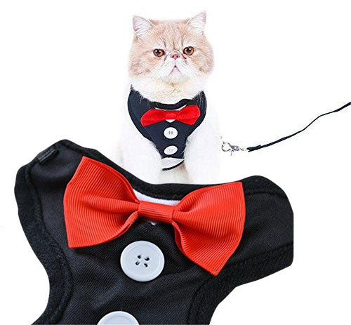 cat harness leash set