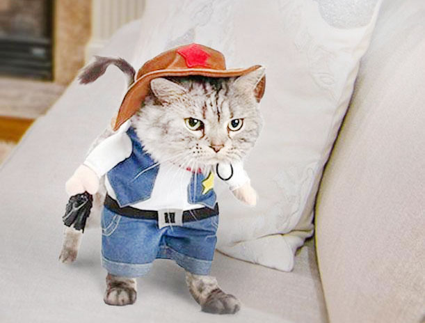 West Cowboy Cat Costume And Hat For Halloween Catsegory