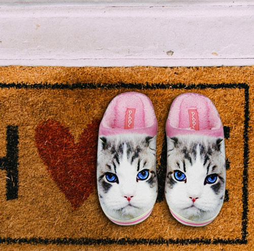 cat print slippers