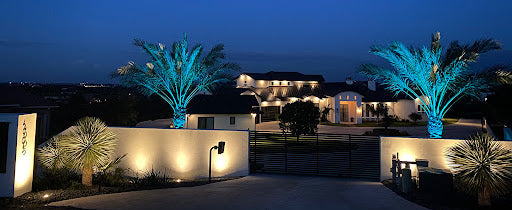 Palm tree lighting