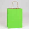 10 x 5 x 13苹果绿色购物袋，带把手250/箱