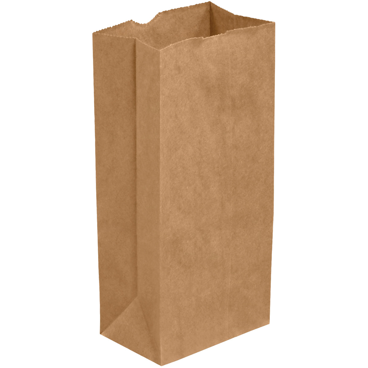 8 1 4 X 5 5 16 X 16 1 8 Kraft Paper Grocery Bags Packagingsupplies Com