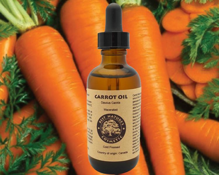 Carrot Seed Carrier Oil  Organic Infusions Massage Oil