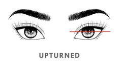 guide for upturned eyes