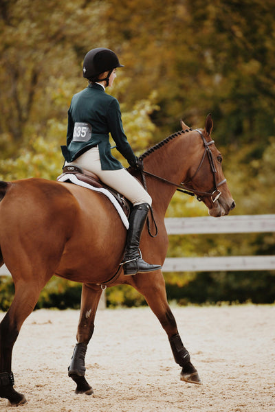 Young Female Equestrian Horse Show Hunter Equitation Class Competitor