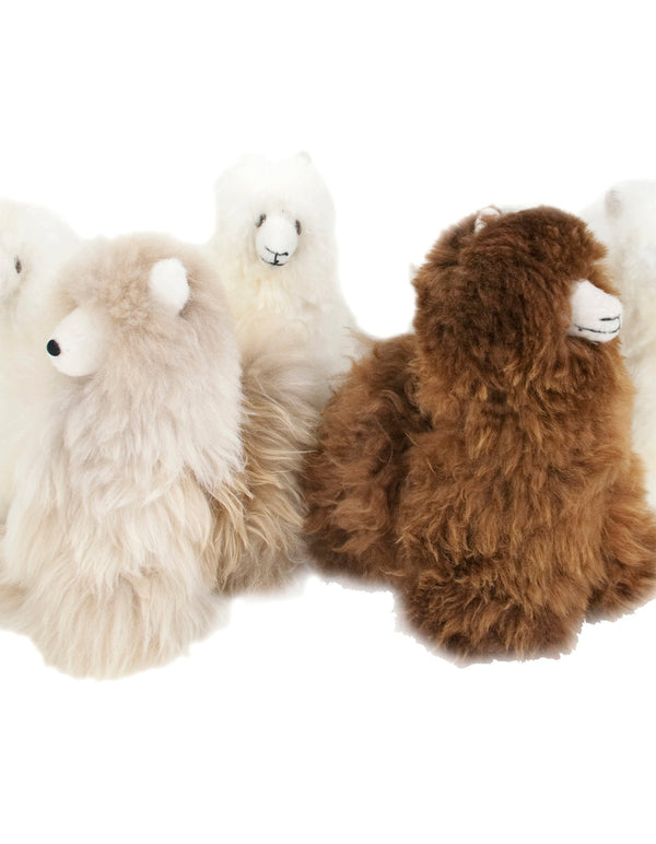 Plain alpaca plush with shorn coat • Magic Plush