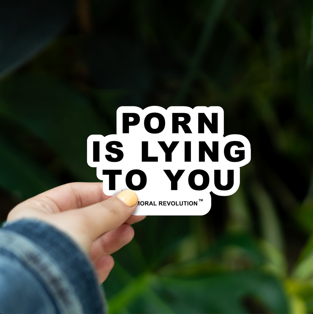 2x Sex Video - Porn Is Lying To You - Sticker â€“ Moral Revolution