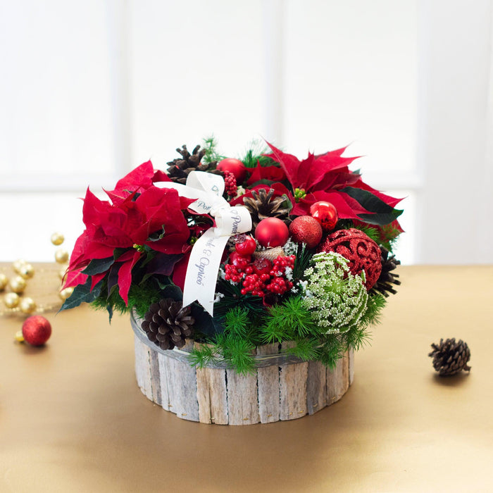 Tradición navideña - Nochebuena, piñas y mini esferas- — Ponch' & Capricó