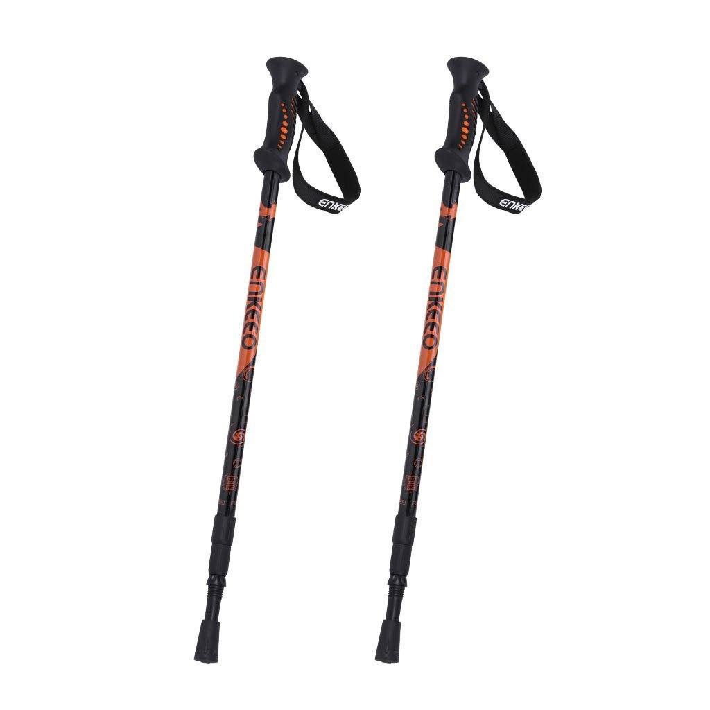 telescoping hiking pole