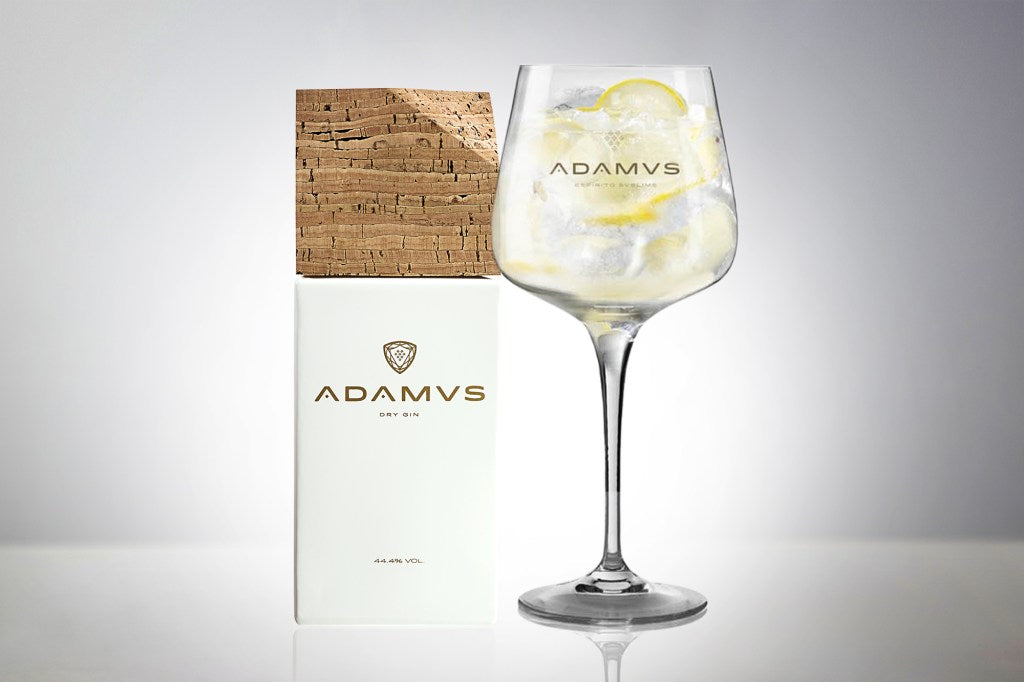 Adamus Gin Tonic With Lemon Zest