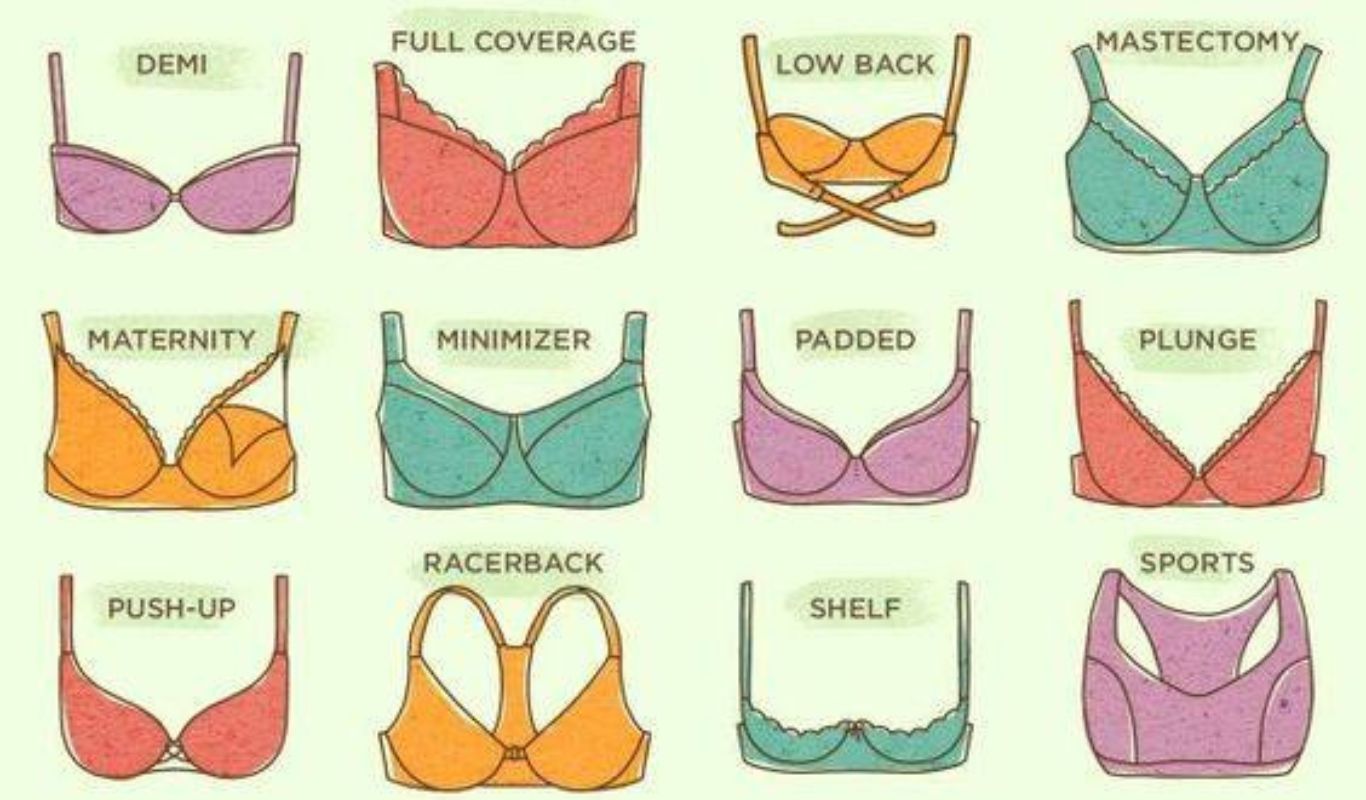 Different Parts of a Bra  Anatomy of a Bra - Textile Learner