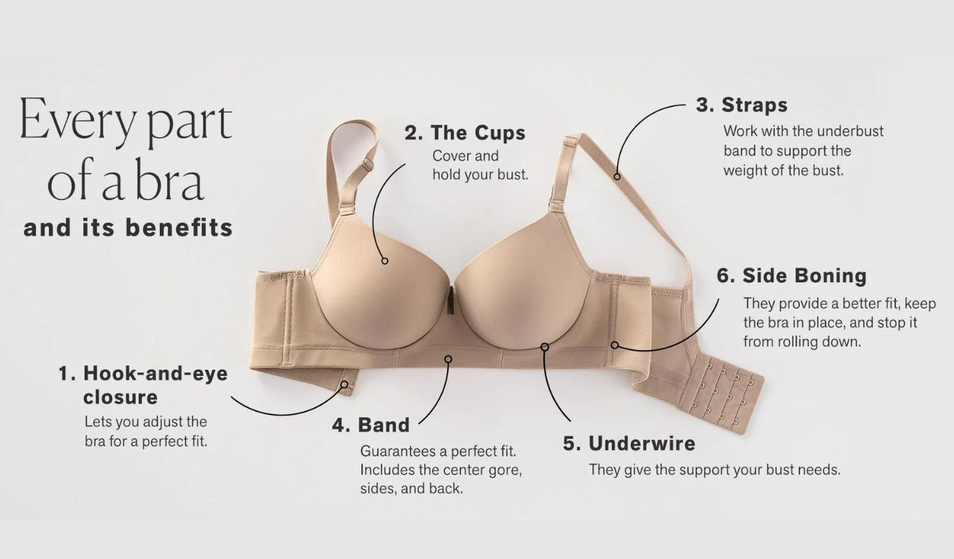 Your bra glossary: The A-Z of the bra and the important terms