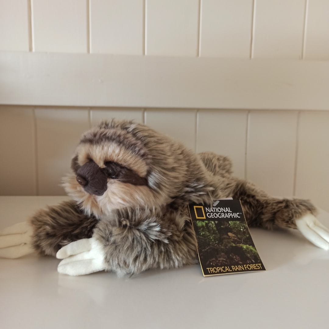 national geographic sloth plush