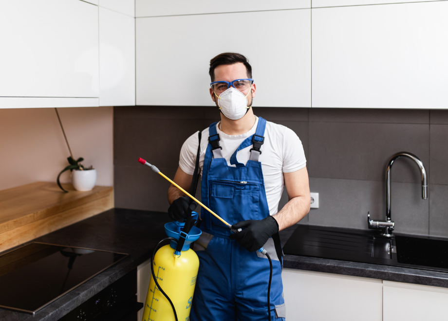 Person wearing black nitrile gloves and preparing to spray pest control chemicals