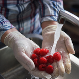 person wearing synthetic vinyl gloves and washing raspberries