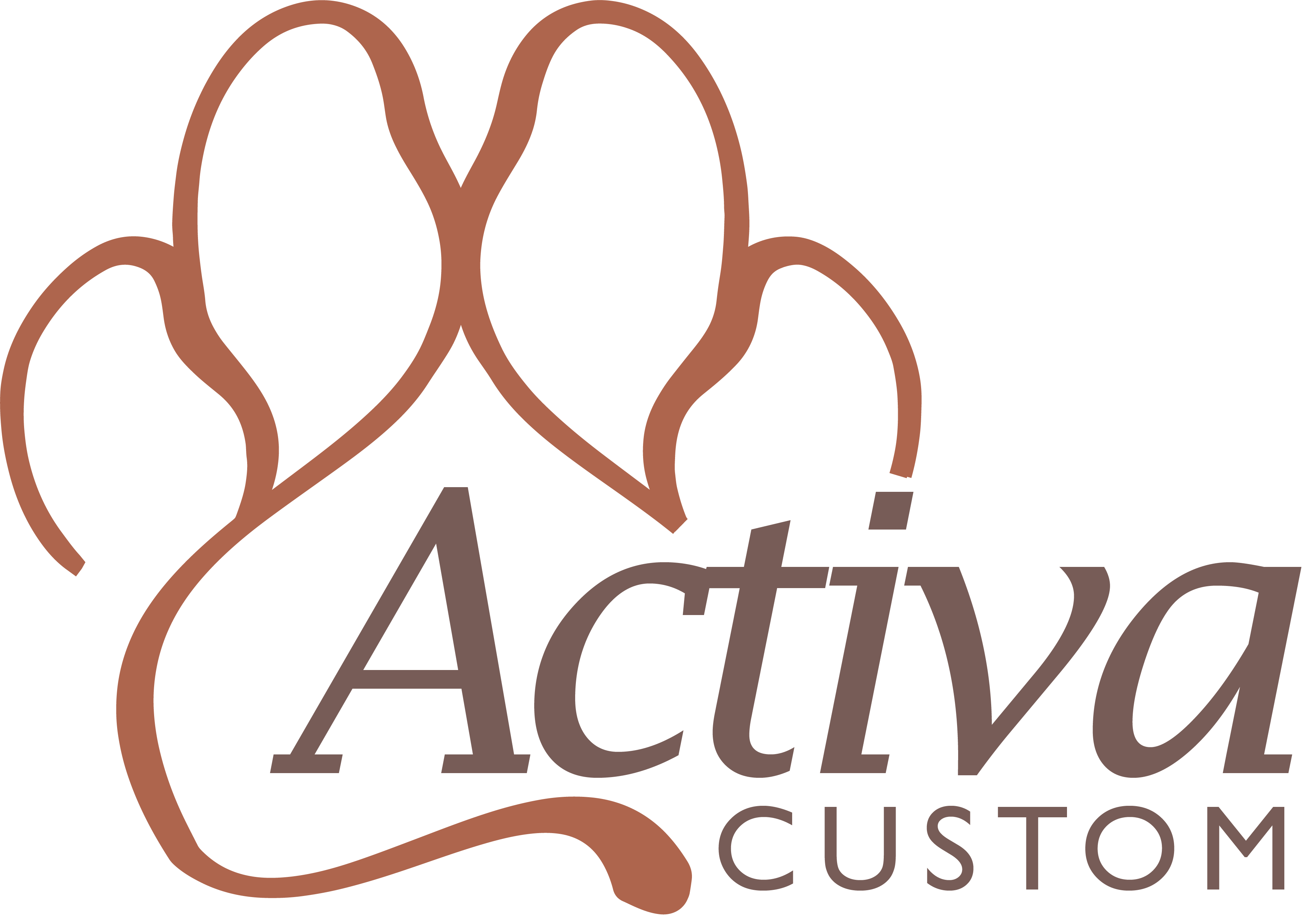 Activa Custom Start Image