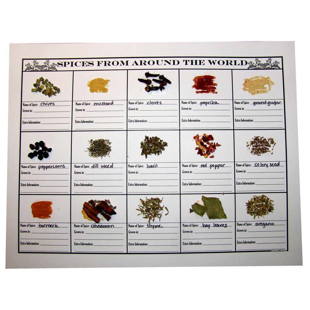 Spices from Around the World Notebooking Page