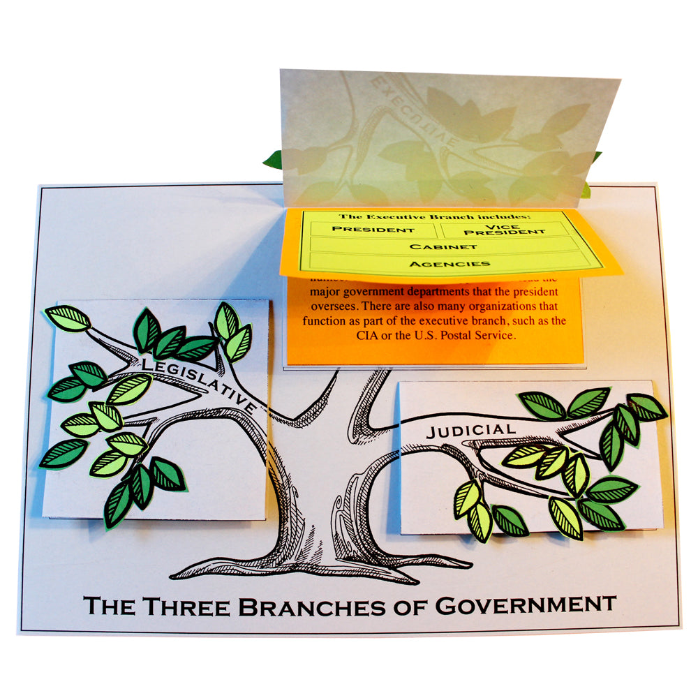 The Three Branches of Government Lap Book Project