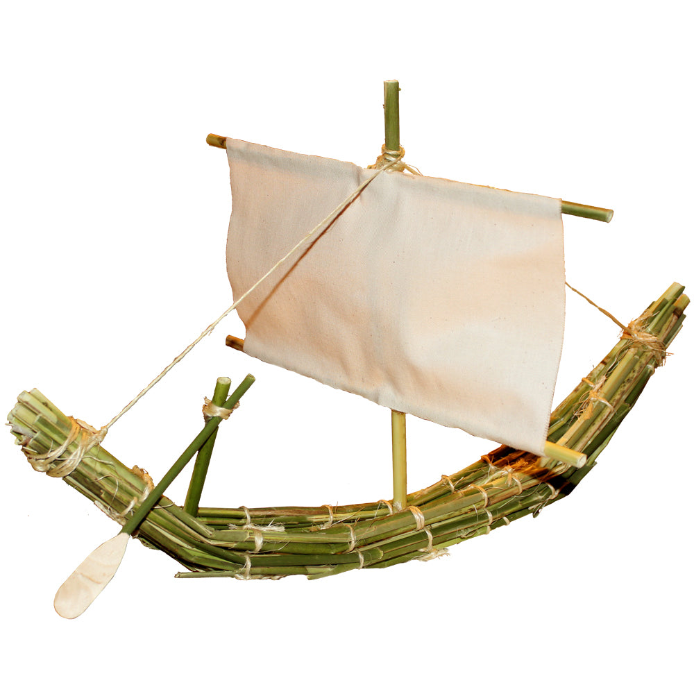 Reed Boat Project