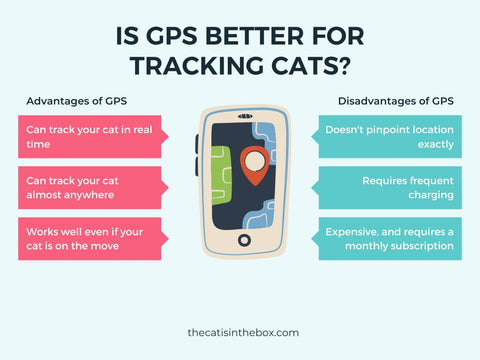 Is GPS better for tracking cats?