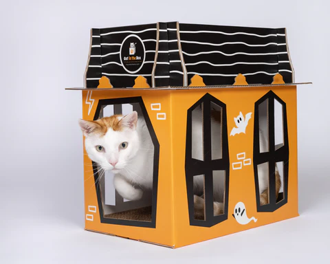 Spooky Cat Haunted House