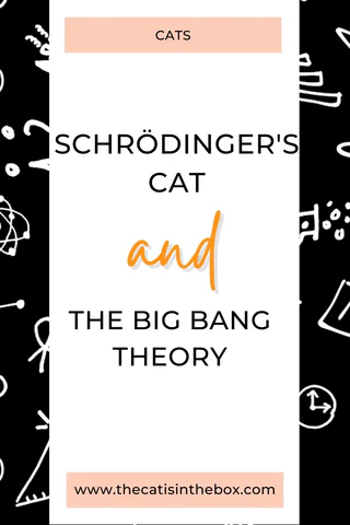 On boxes, Schrödinger's Cat, and the Big Bang Theory - Pinterest-friendly pin