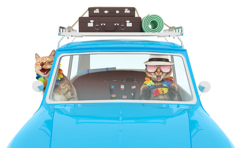 cartoon cats on a road trip