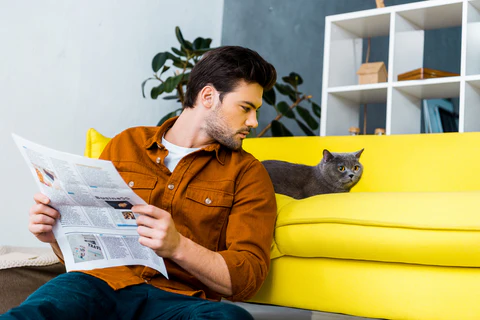 man reading paper and looking at a cat on a yellow sofa