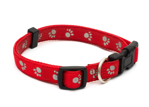 cat collar