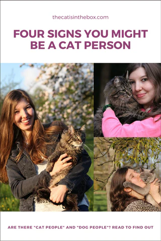 Four signs you might be a cat person - Pinterest-friendly pin